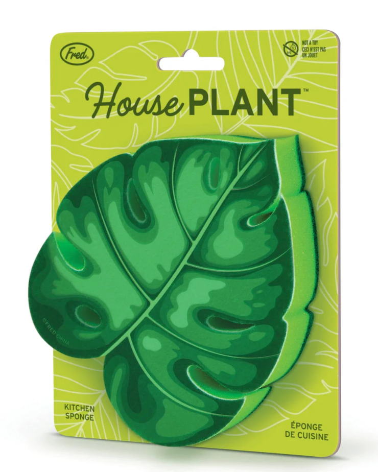 House Plant Sponge