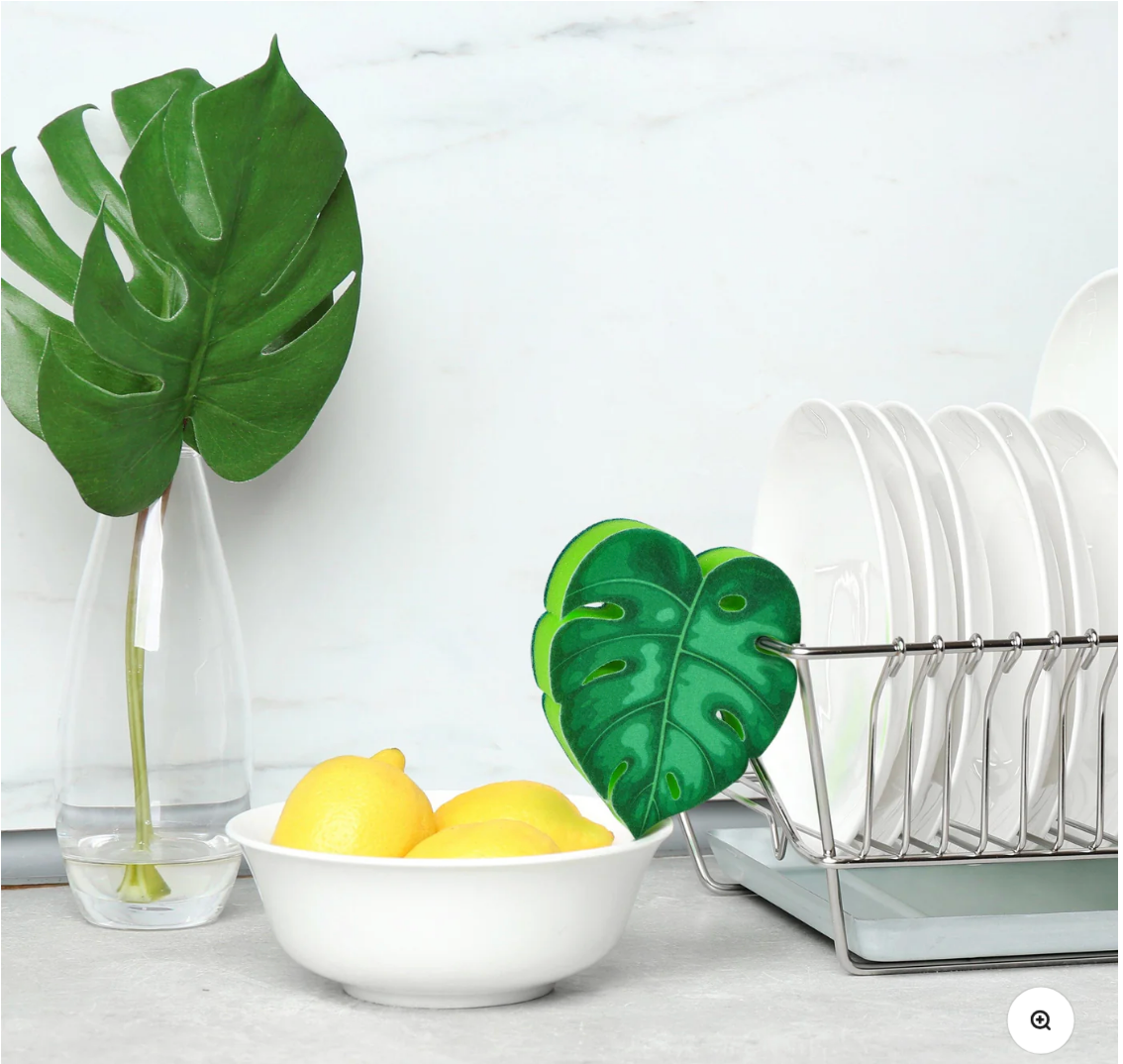 House Plant Sponge